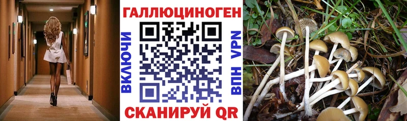 что такое наркотик  blacksprut ССЫЛКА  Галлюциногенные грибы GOLDEN TEACHER  Володарск 