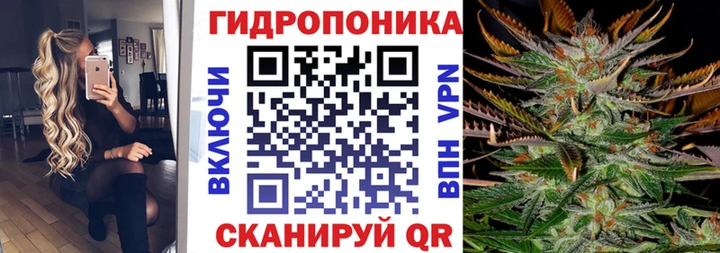 Бошки Шишки марихуана  Володарск 
